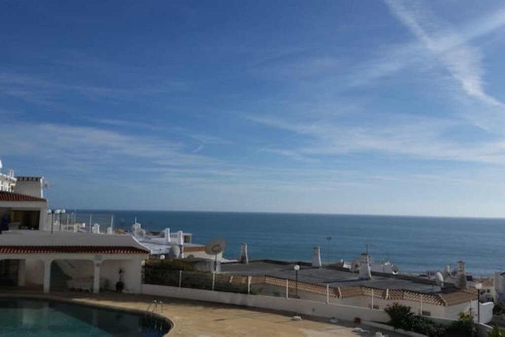 Photo of Outdoor in Calicos