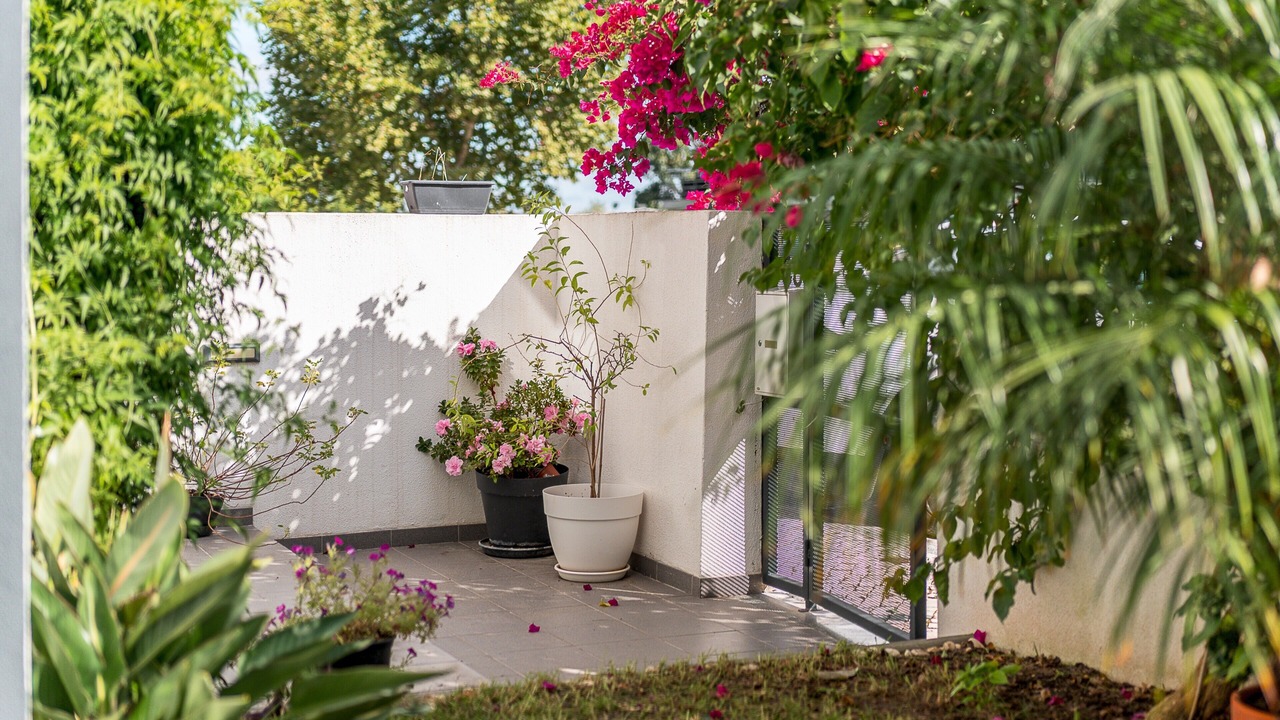 Photo of Outdoor in Setubal