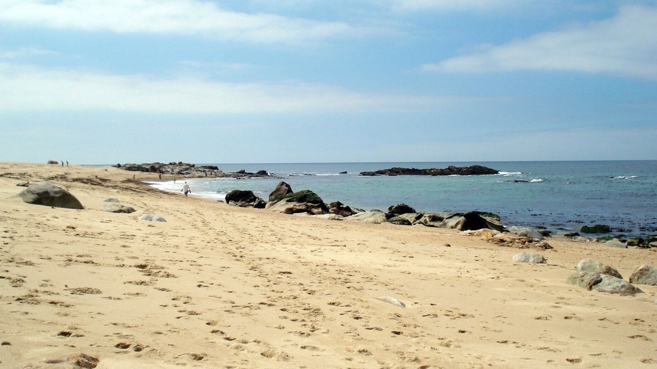 Photo of Others in Canidelo