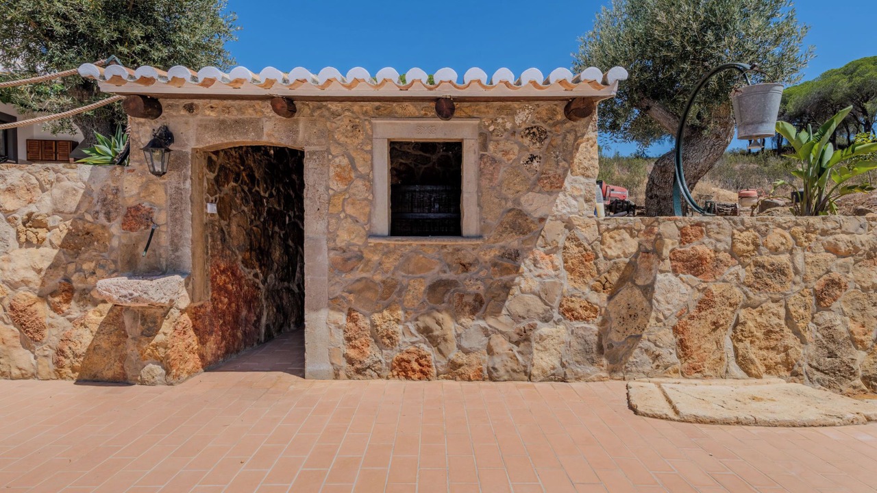 Photo of Others in Silves