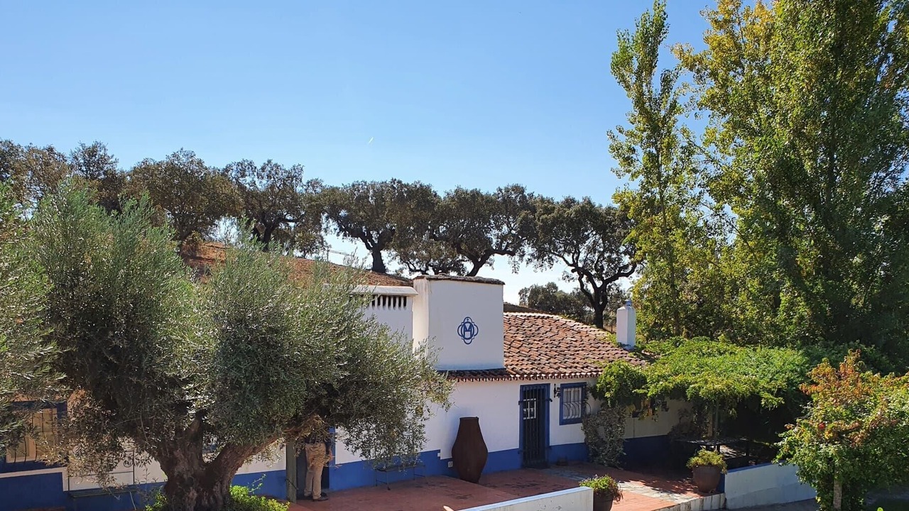 Photo of Outdoor in Redondo