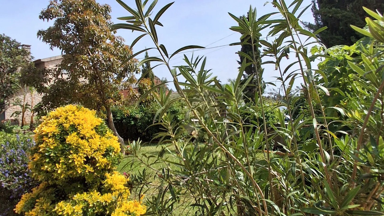Photo of Outdoor in Ourem