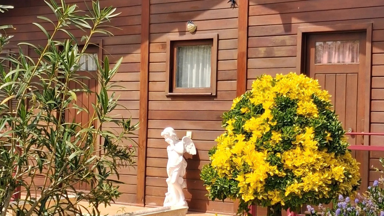 Photo of Outdoor in Ourem