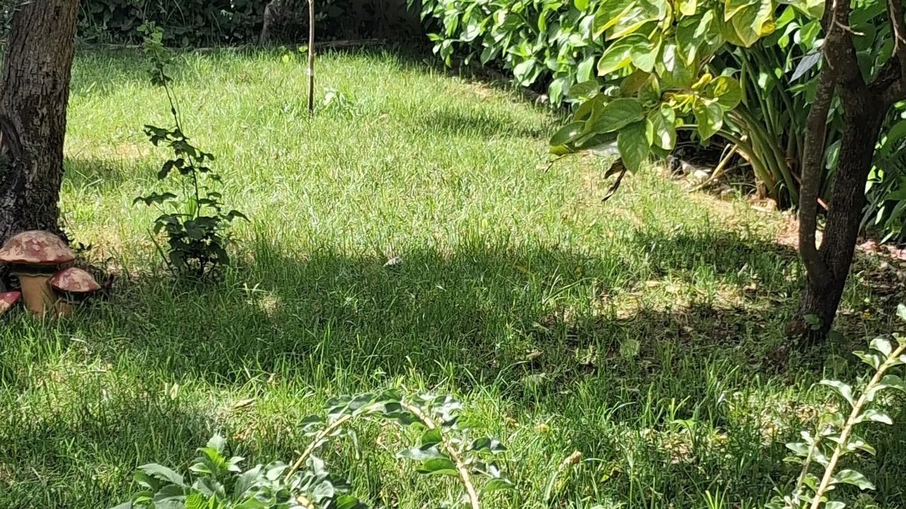 Photo of Outdoor in Ourem