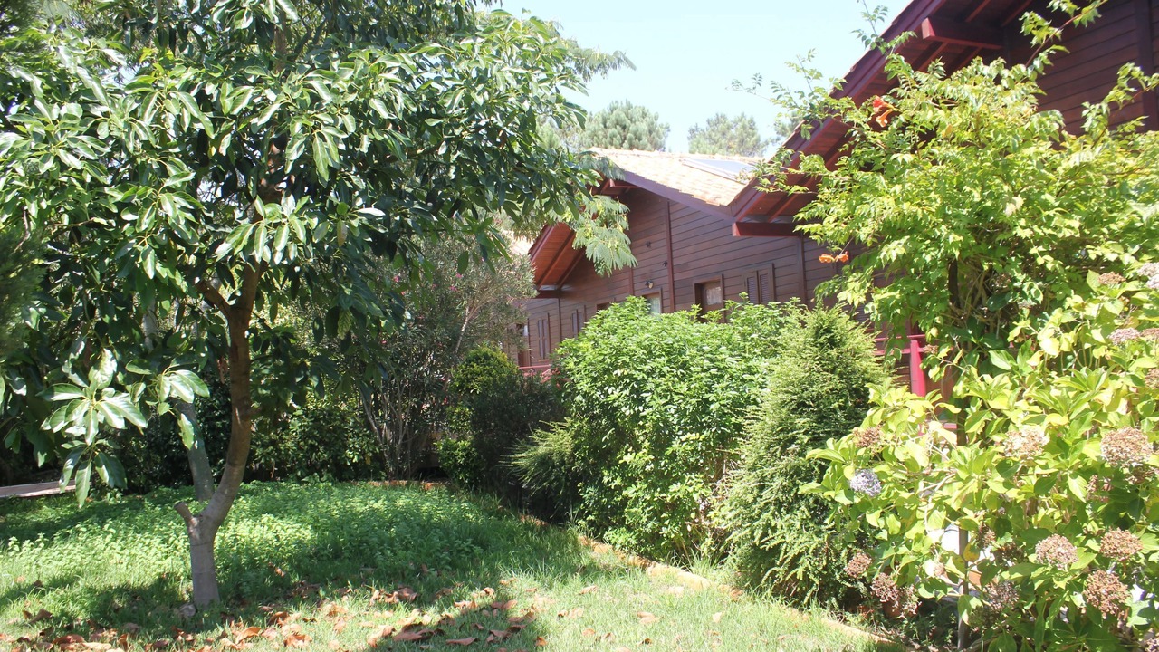 Photo of Outdoor in Ourem