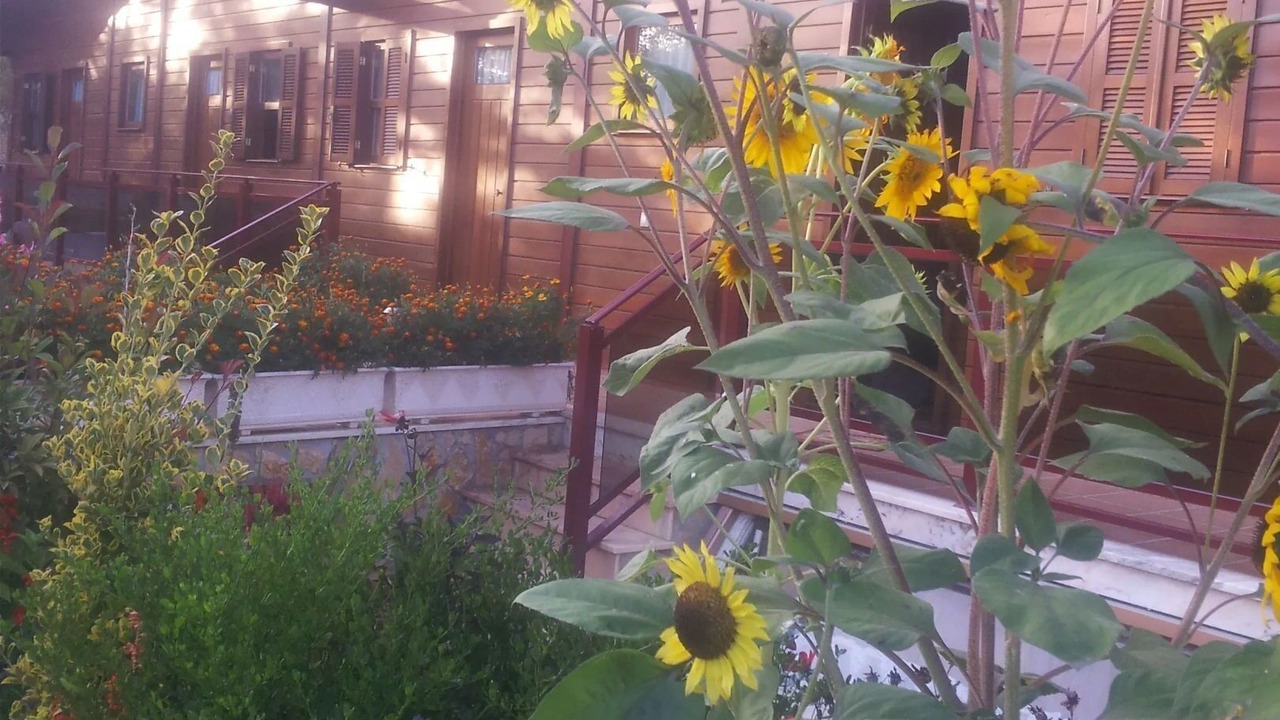 Photo of Outdoor in Ourem
