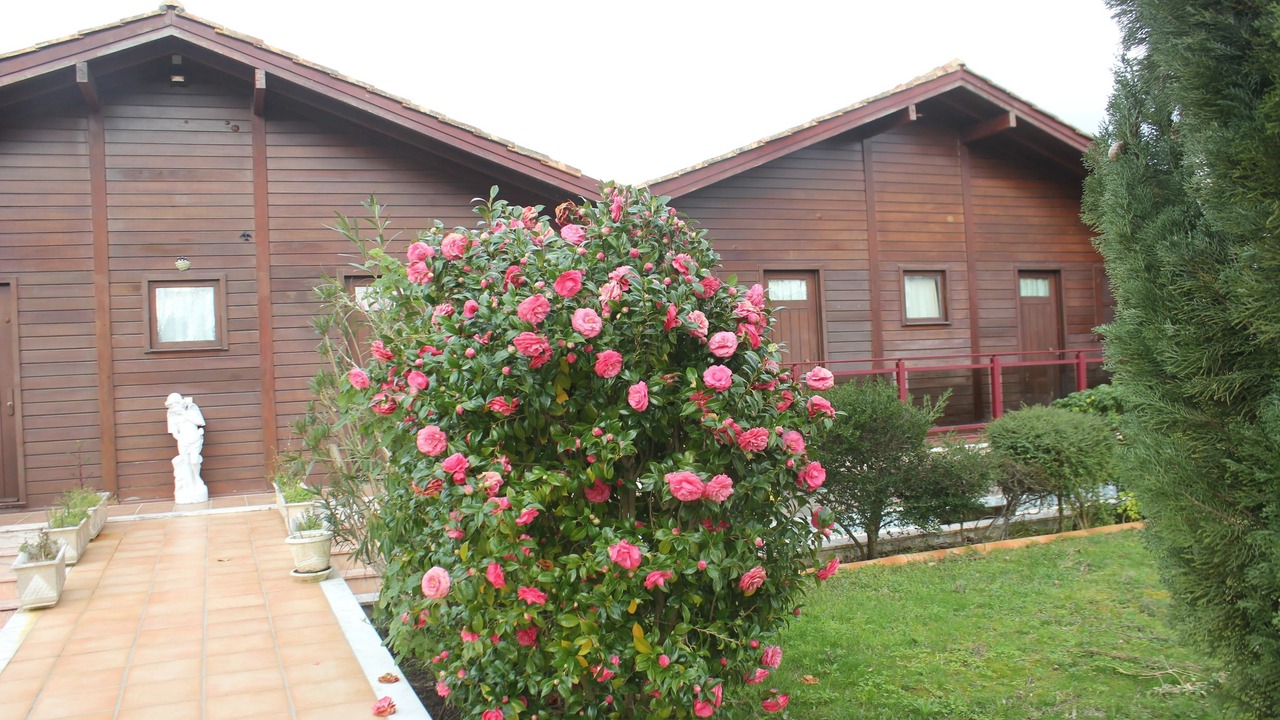 Photo of Others in Ourem