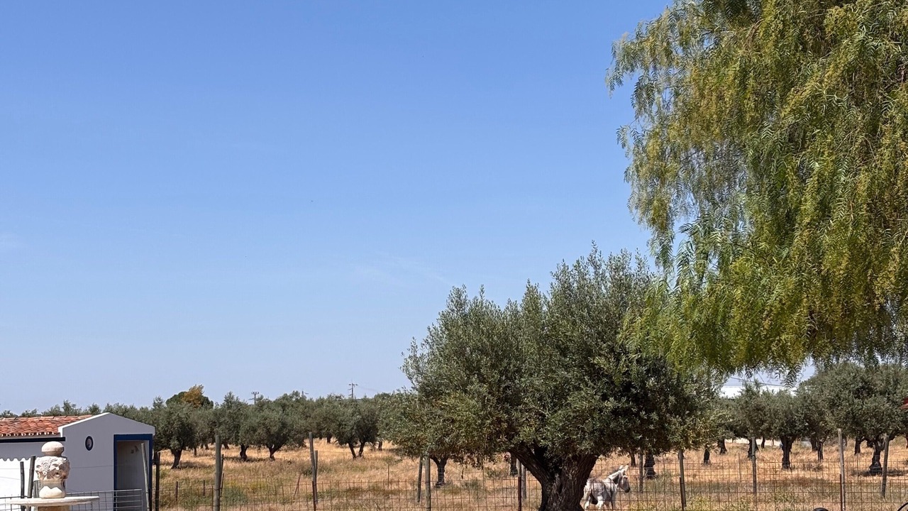 Photo of Outdoor in Reguengos de Monsaraz