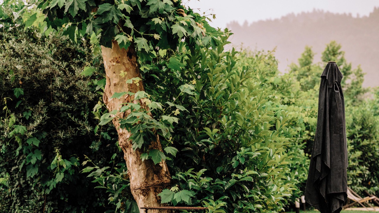 Photo of Outdoor in Pacos De Ferreira