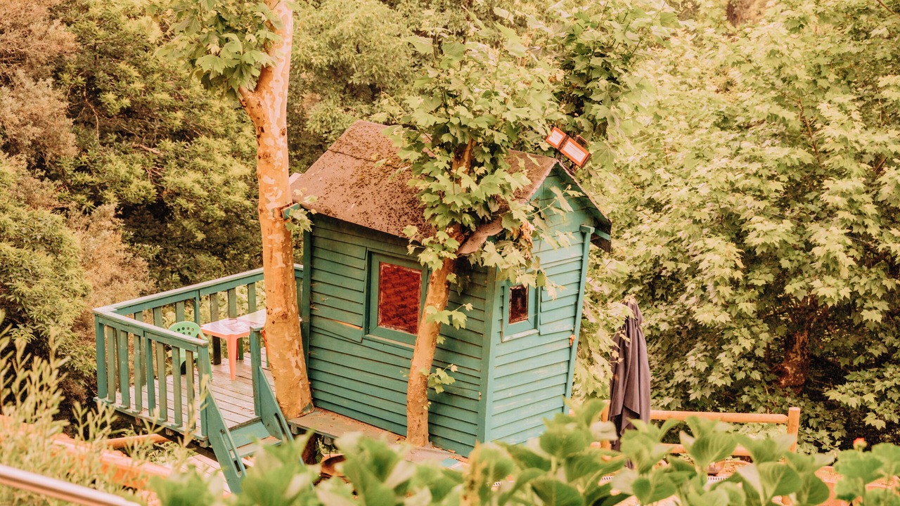 Photo of Outdoor in Pacos De Ferreira