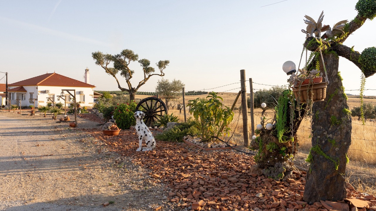 Photo of Outdoor in Idanha-a-Nova