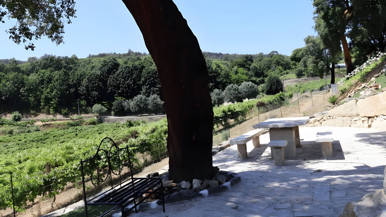 Photo of Outdoor in Molares