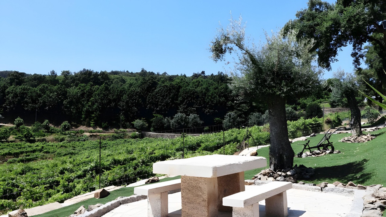 Photo of Outdoor in Molares