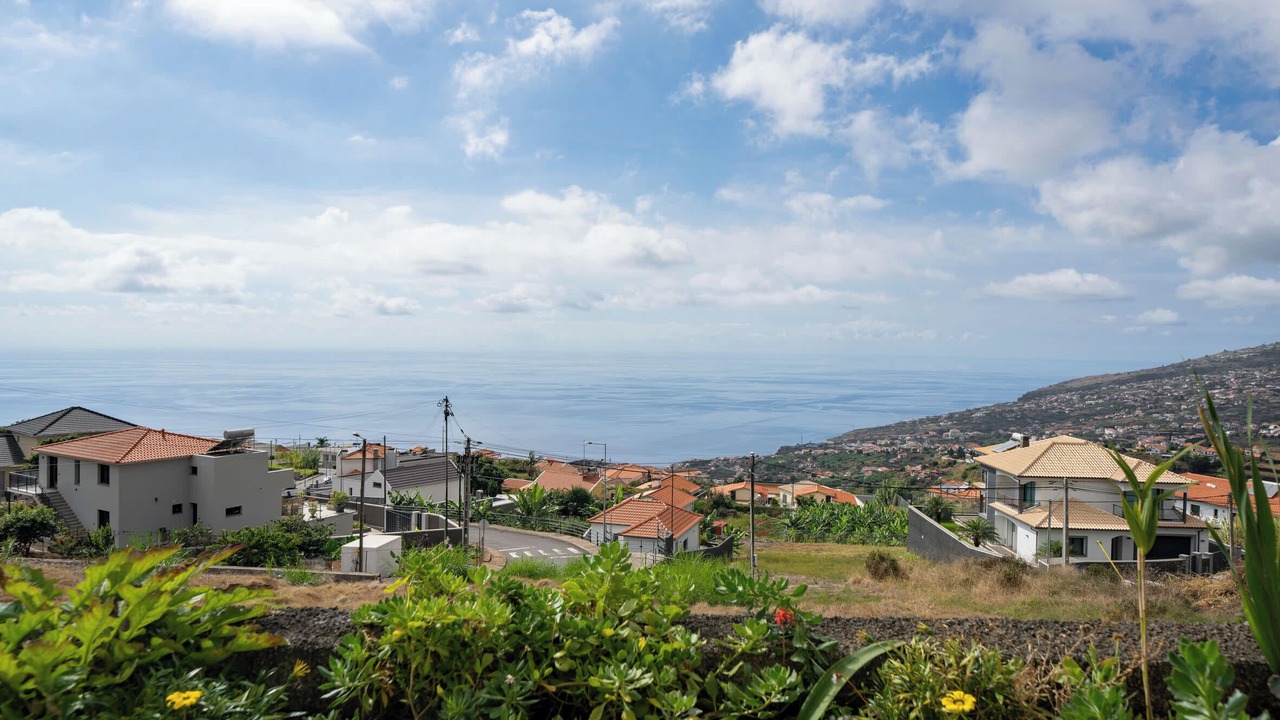 Photo of Others in Arco da Calheta