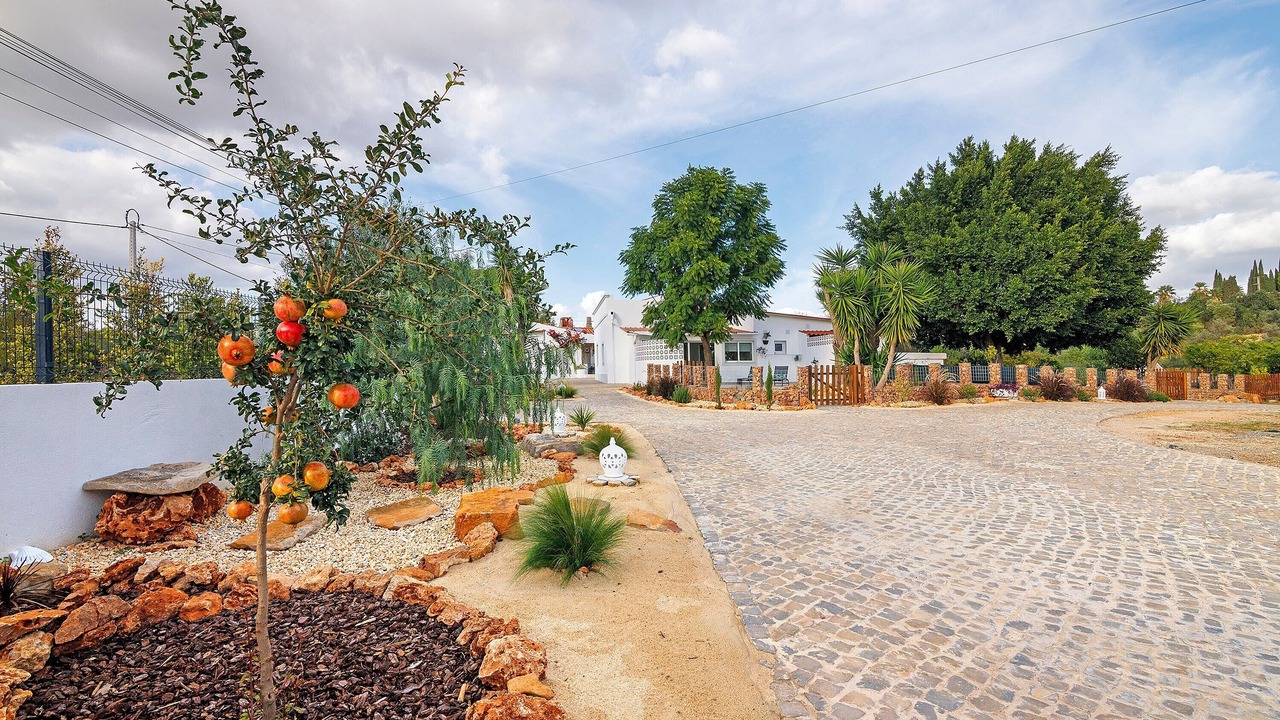 Photo of Outdoor in Calicos