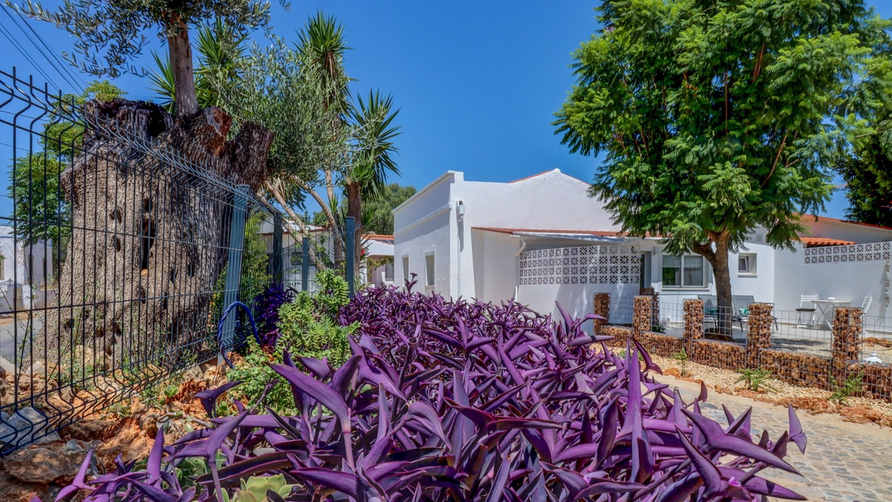 Photo of Outdoor in Calicos