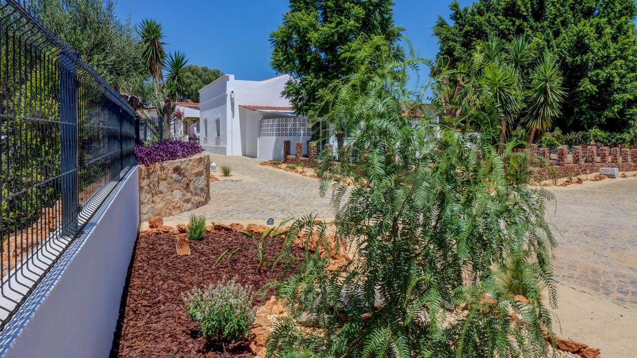 Photo of Outdoor in Calicos
