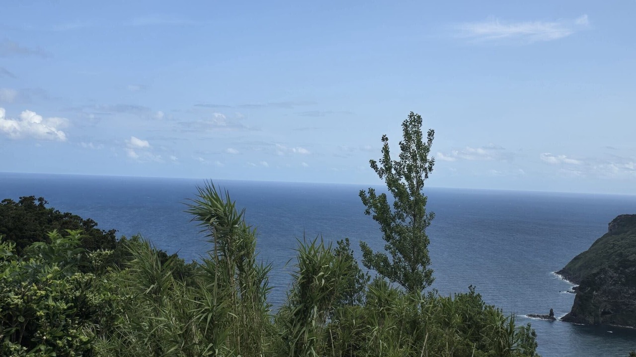 Photo of Others in Lajes das Flores