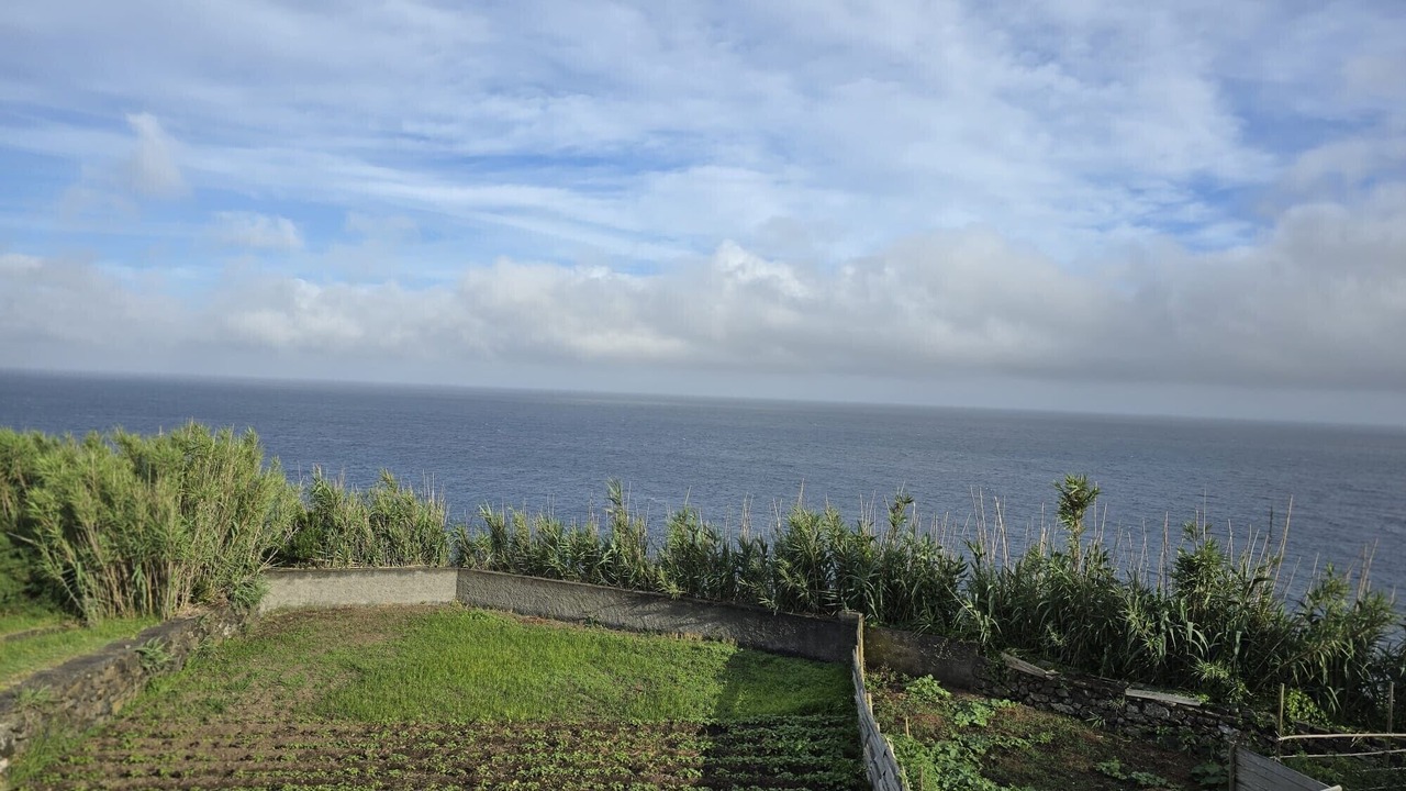 Photo of Others in Lajes das Flores
