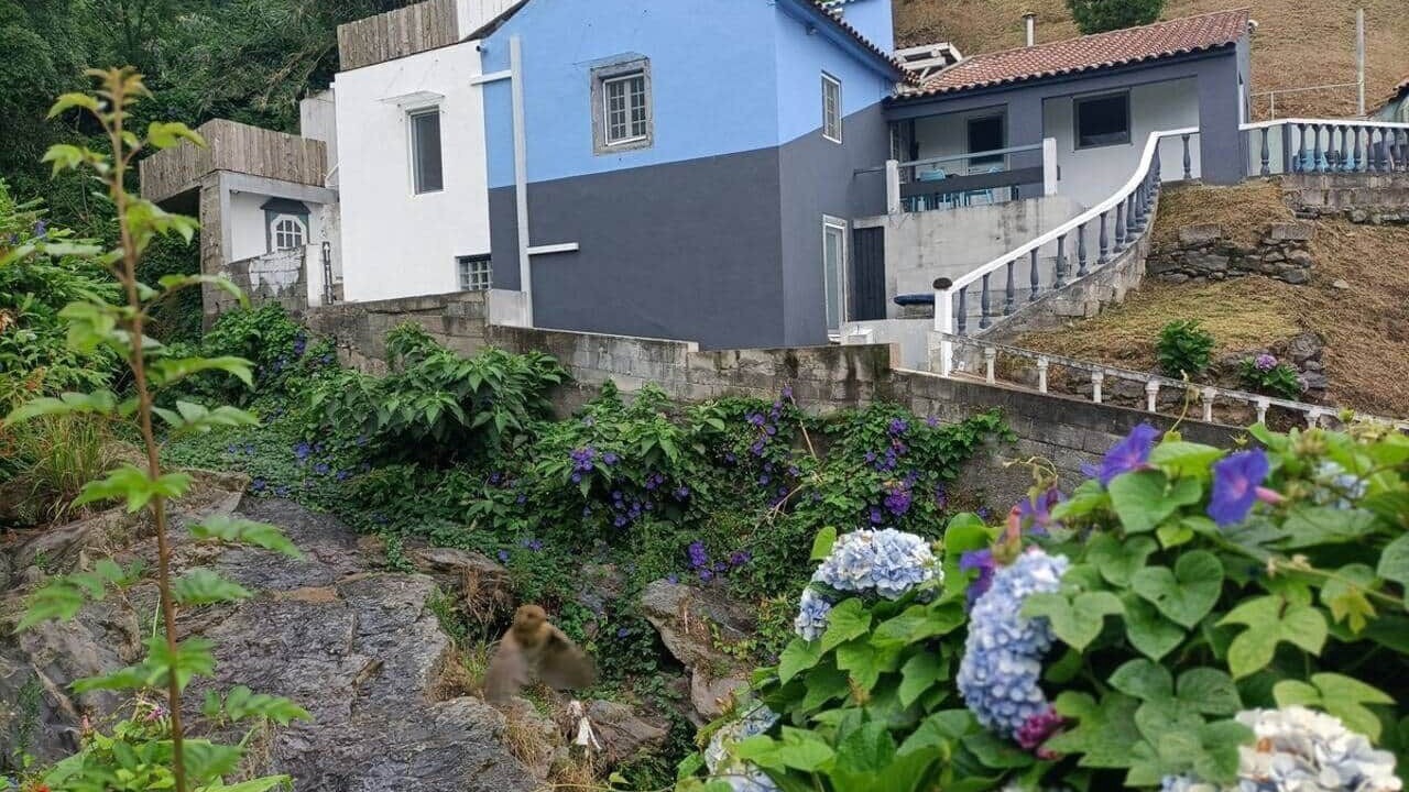 Photo of Outdoor in Ponta Delgada