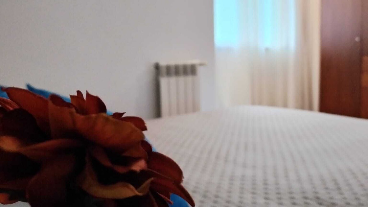 Photo of Bedroom in Guimaraes