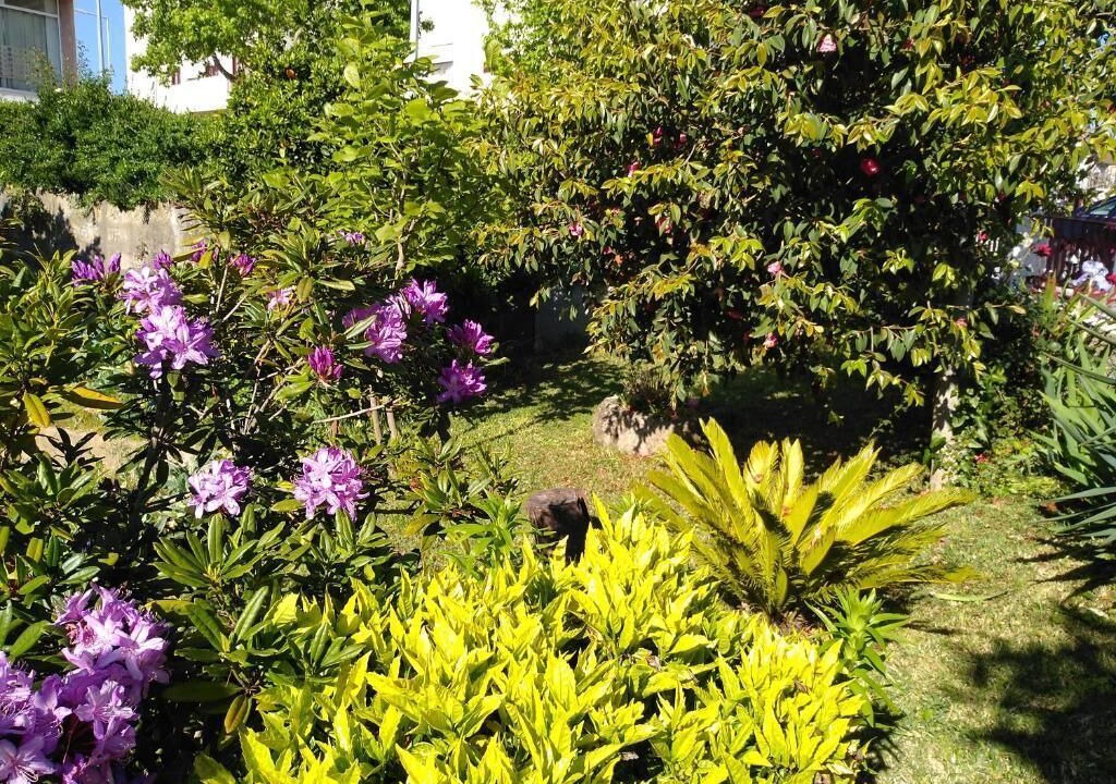 Photo of Outdoor in Sao Tiaguinho
