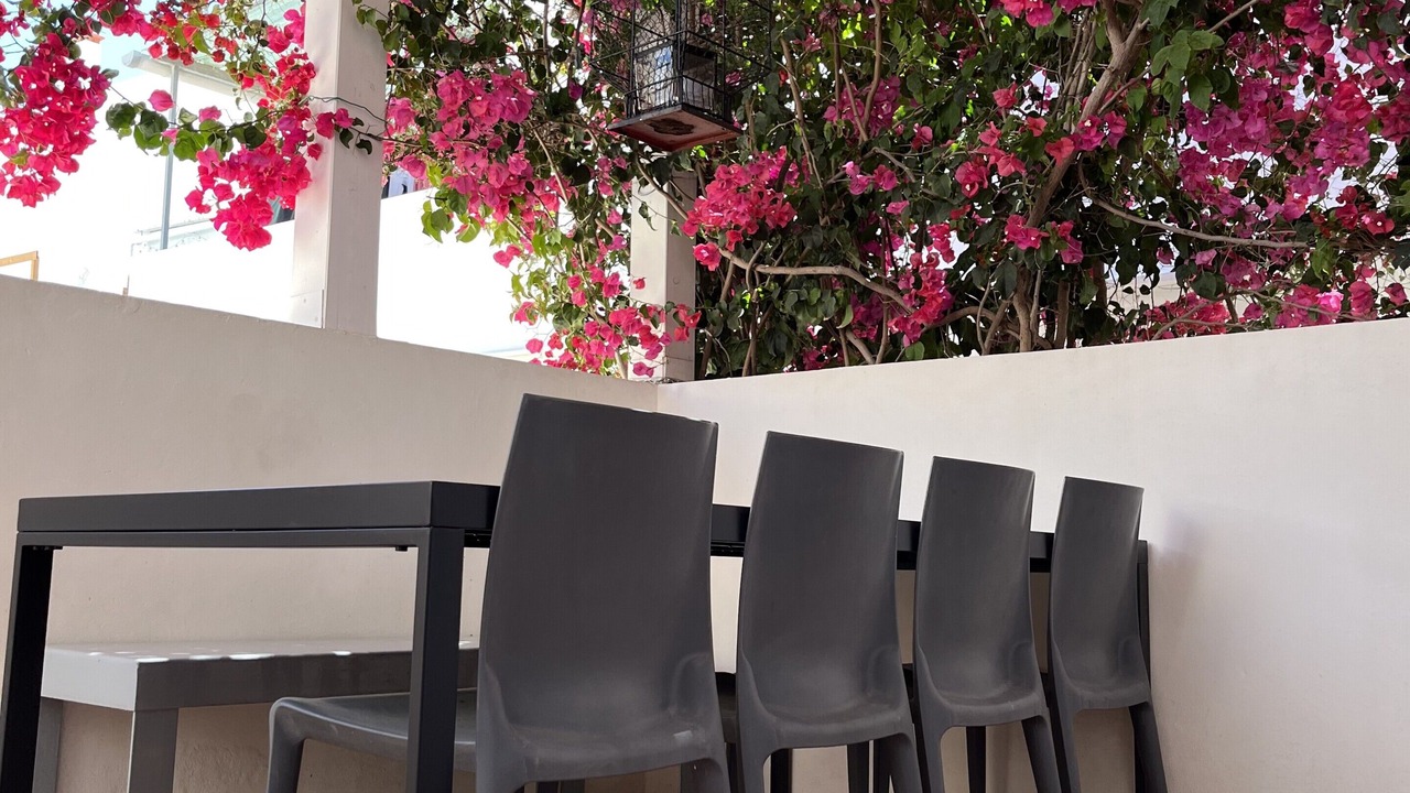 Photo of Outdoor in Olhao