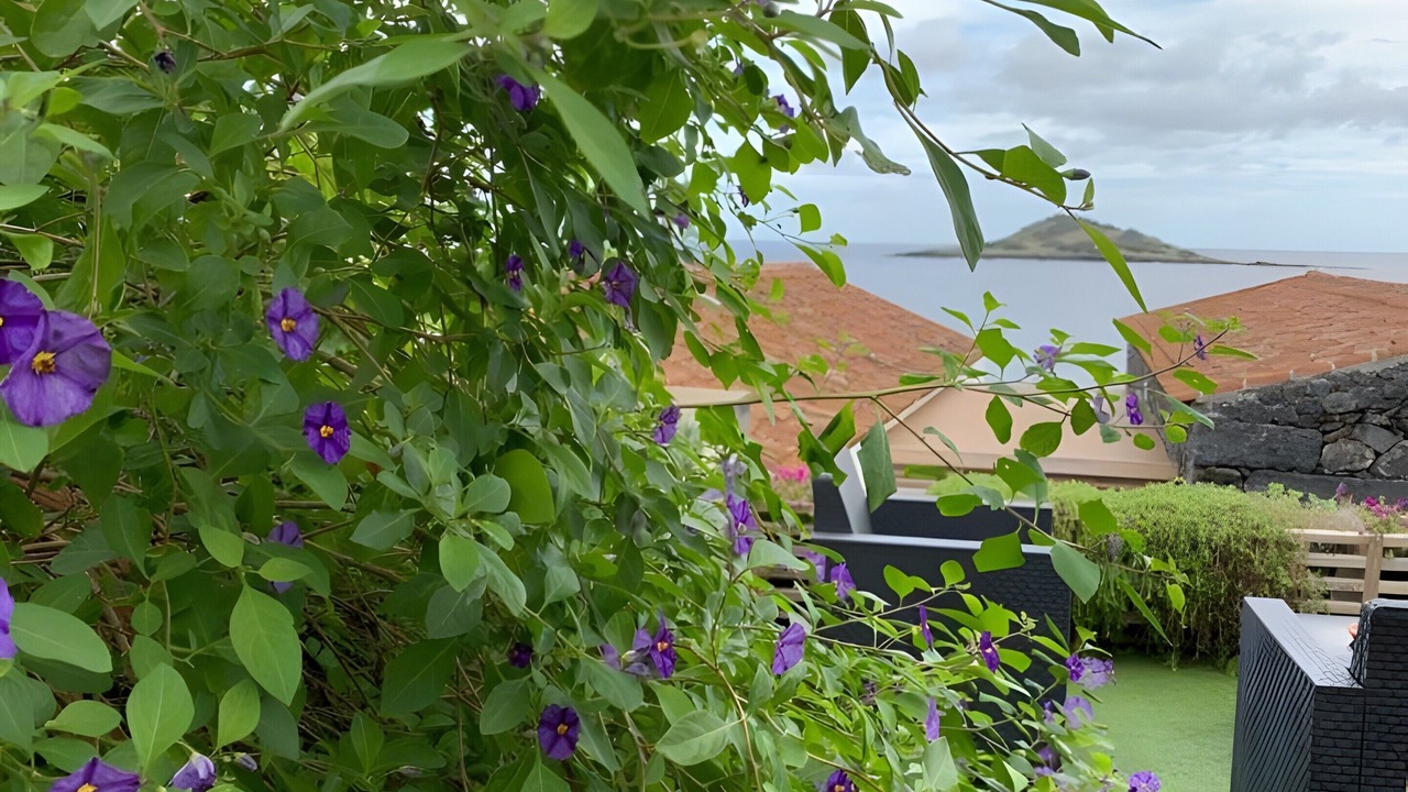 Photo of Outdoor in Santa Cruz da Graciosa