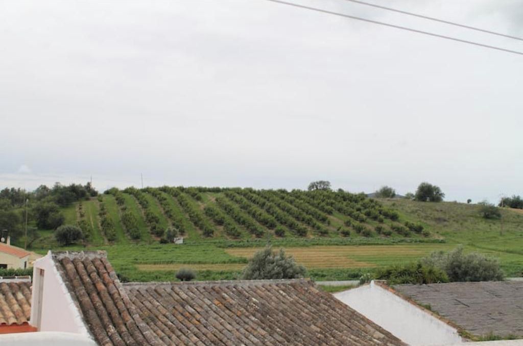Photo of Others in Santa Catarina da Fonte do Bispo