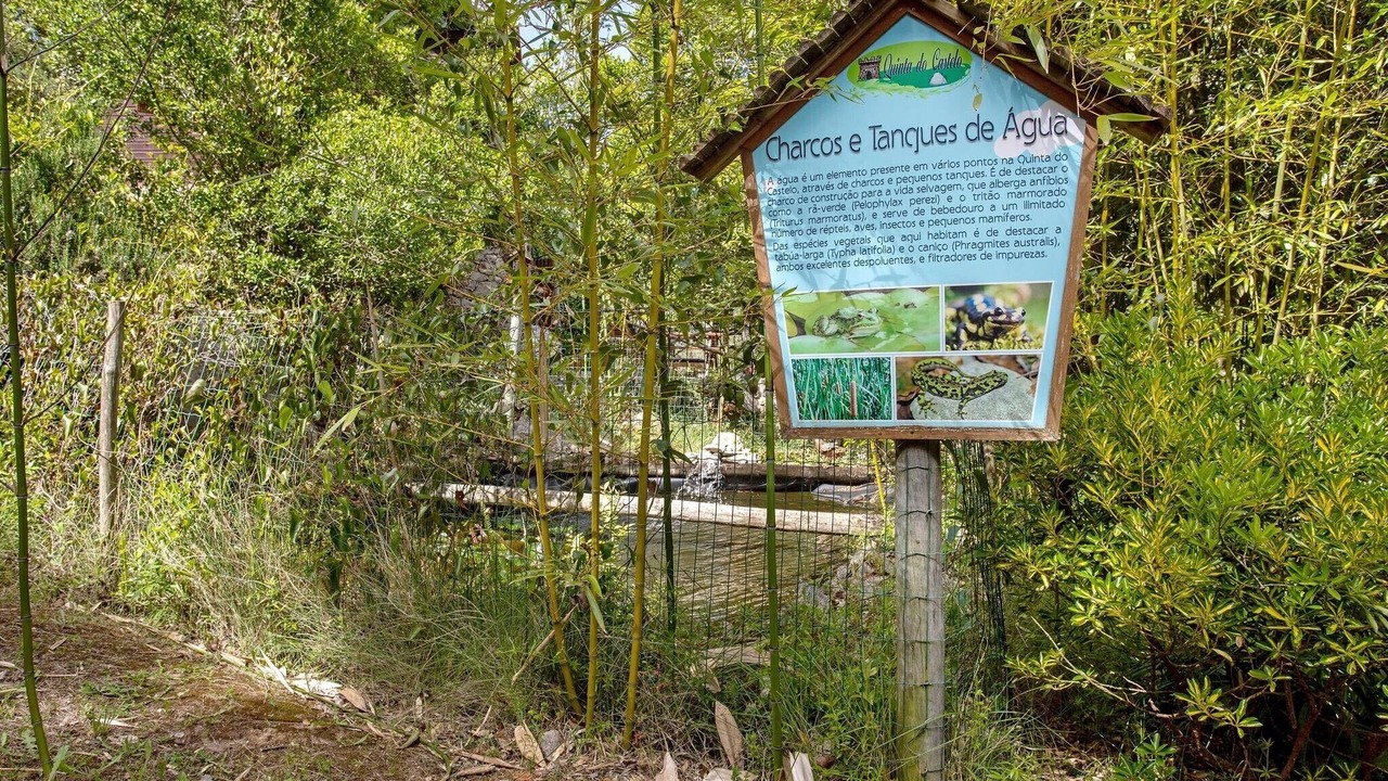 Photo of Outdoor in Lourinha