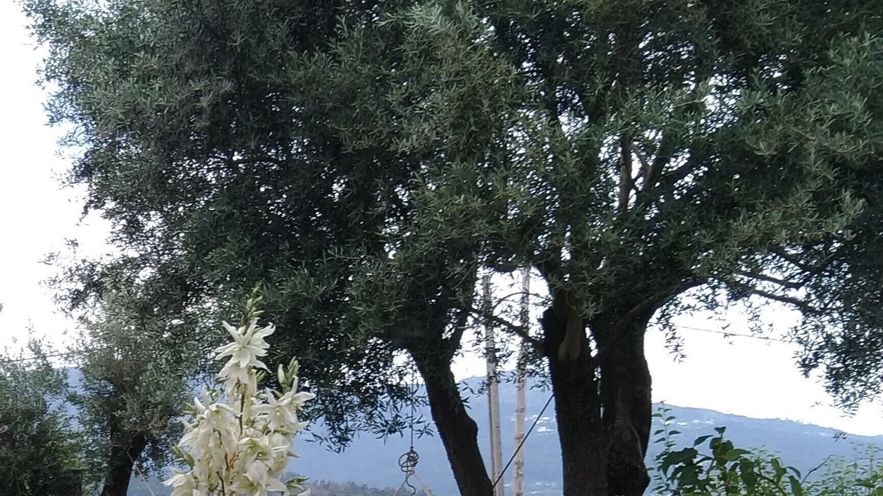 Photo of Outdoor in Ponte de Lima