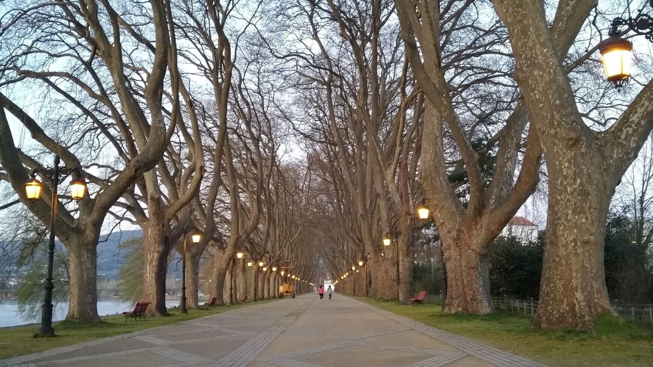 Photo of Others in Ponte de Lima