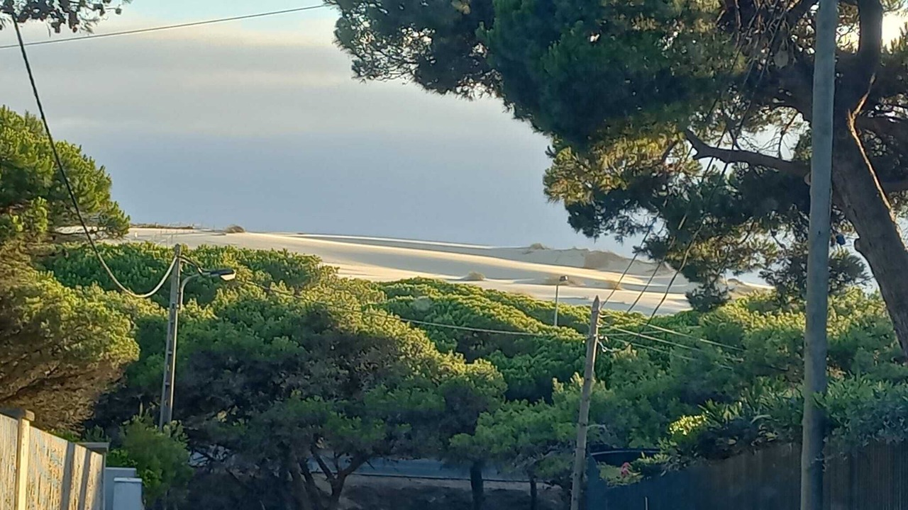 Photo of Others in Cascais