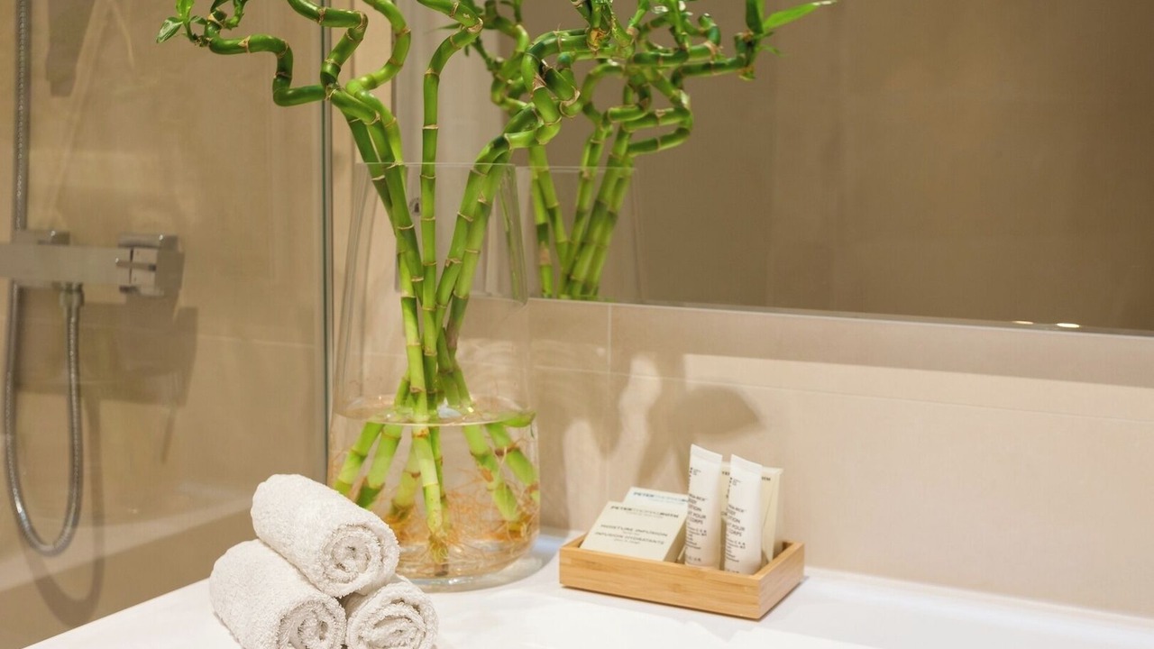 Photo of Bathroom in Santa Engracia