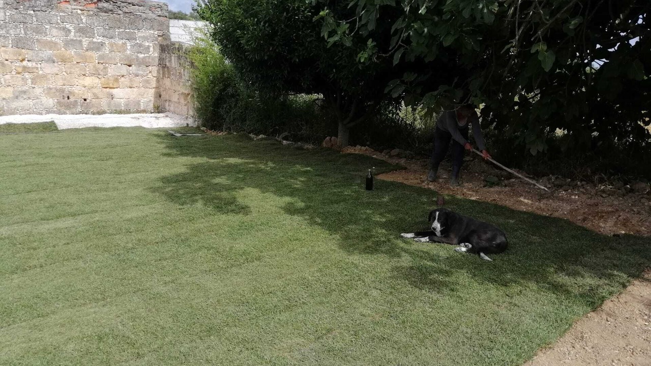 Photo of Outdoor in Sao Vicente do Paul