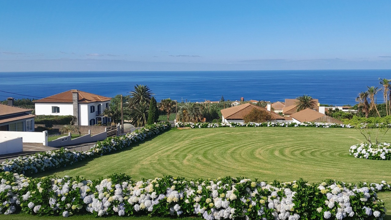 Photo of Outdoor in Ponta Delgada