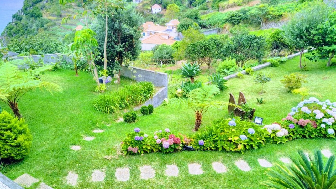Photo of Outdoor in Ribeira da Janela