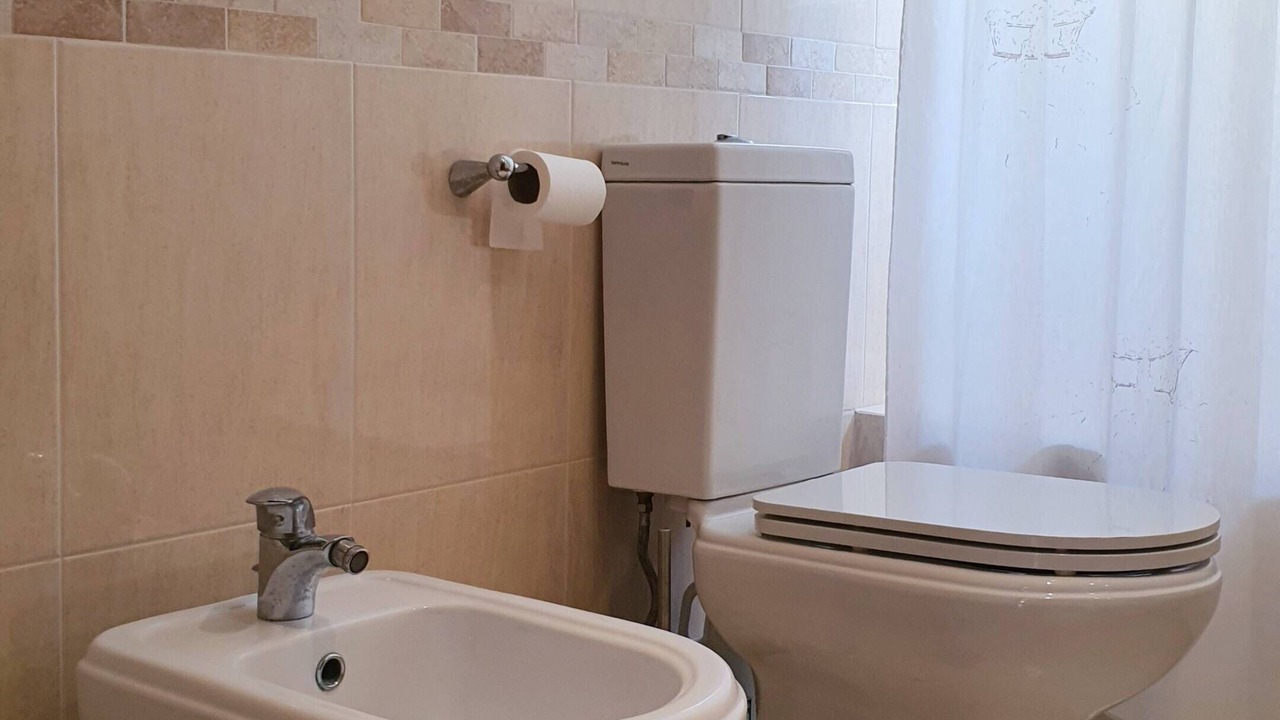 Photo of Bathroom in Amoreira