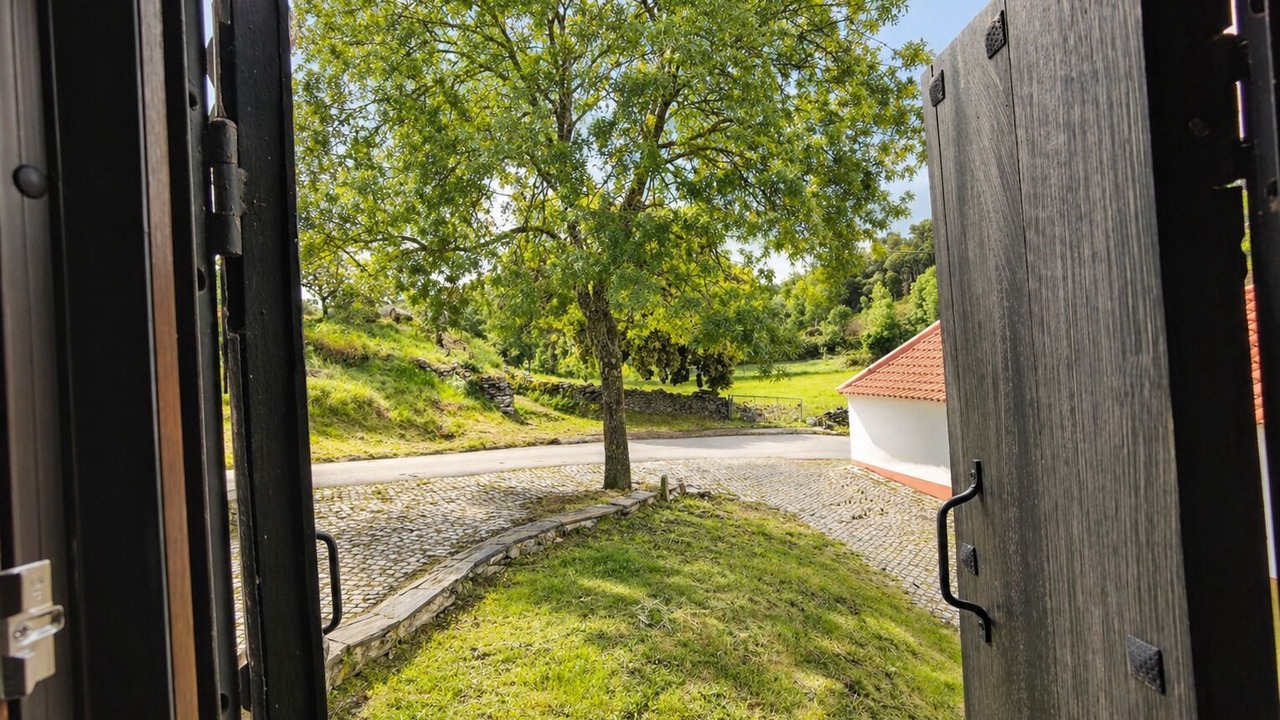 Photo of Others in Mogadouro