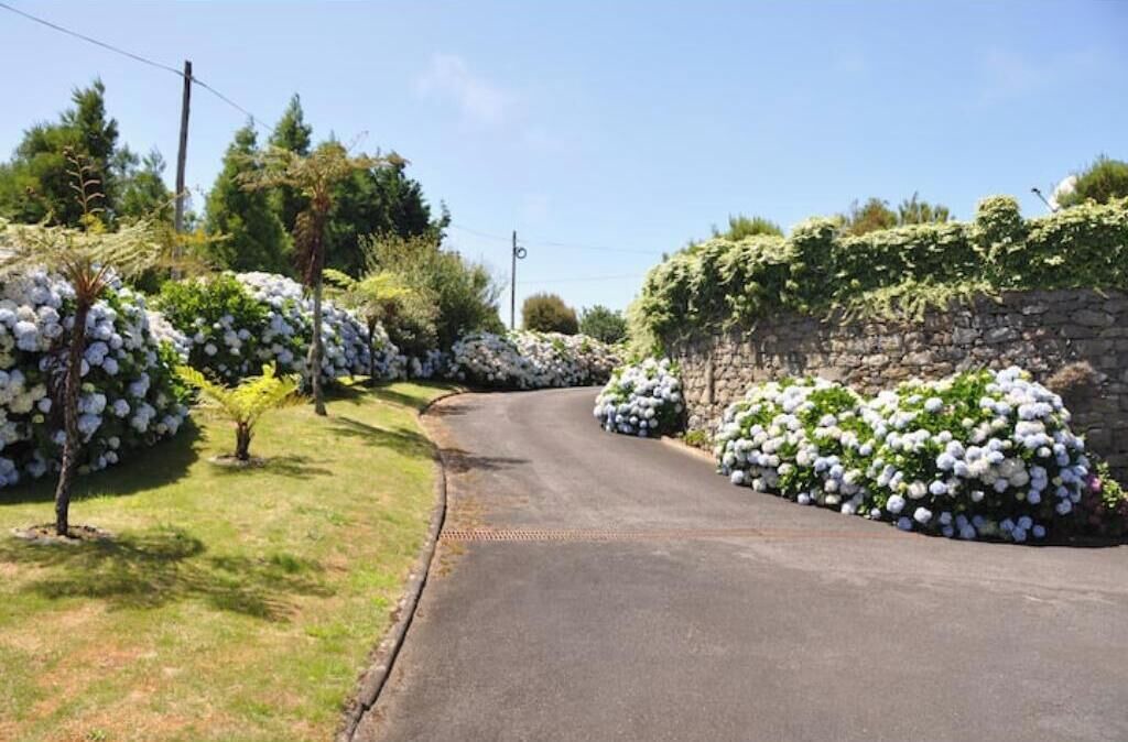 Photo of Outdoor in Santo da Serra