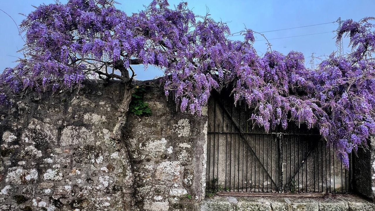 Photo of Outdoor in Vila do Conde