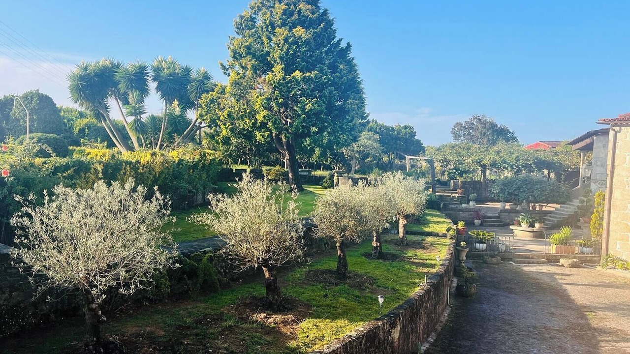 Photo of Outdoor in Vila do Conde