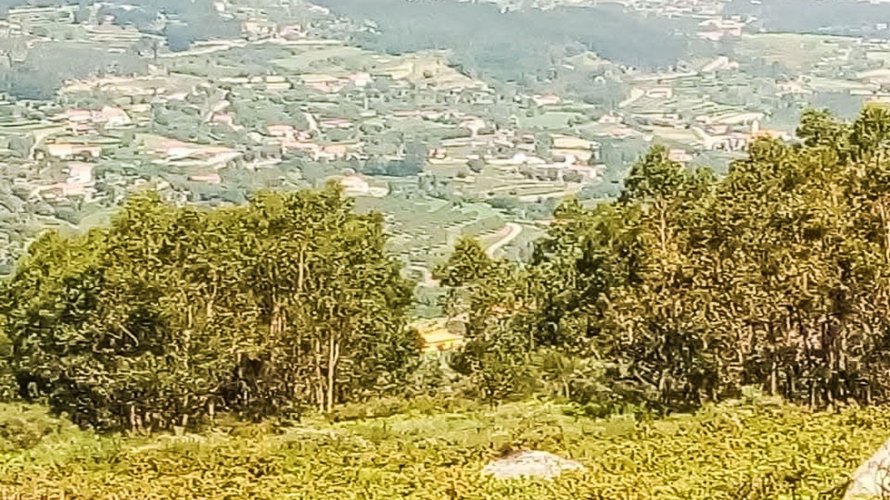 Photo of Others in Gondufe