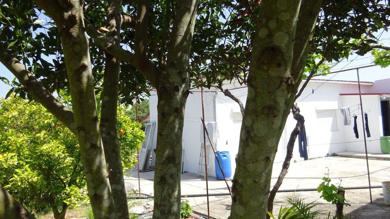 Photo of Outdoor in Torres Novas