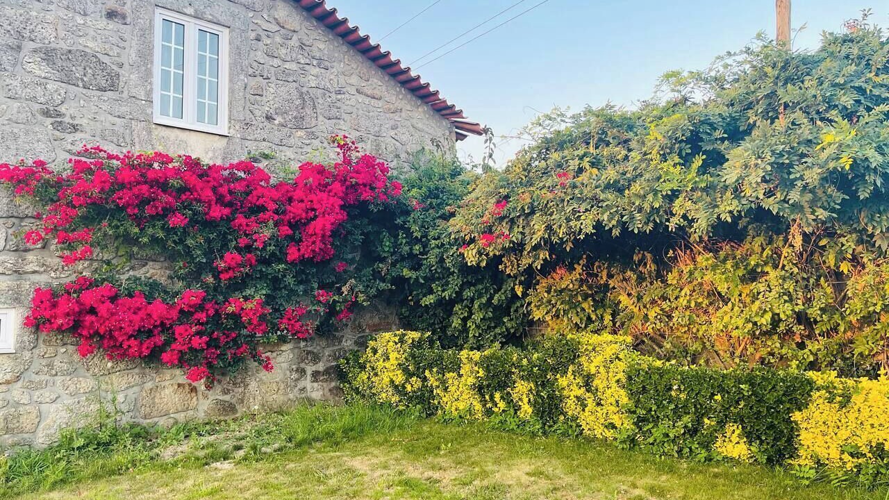 Photo of Outdoor in Vila do Conde