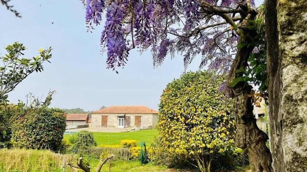 Photo of Outdoor in Vila do Conde