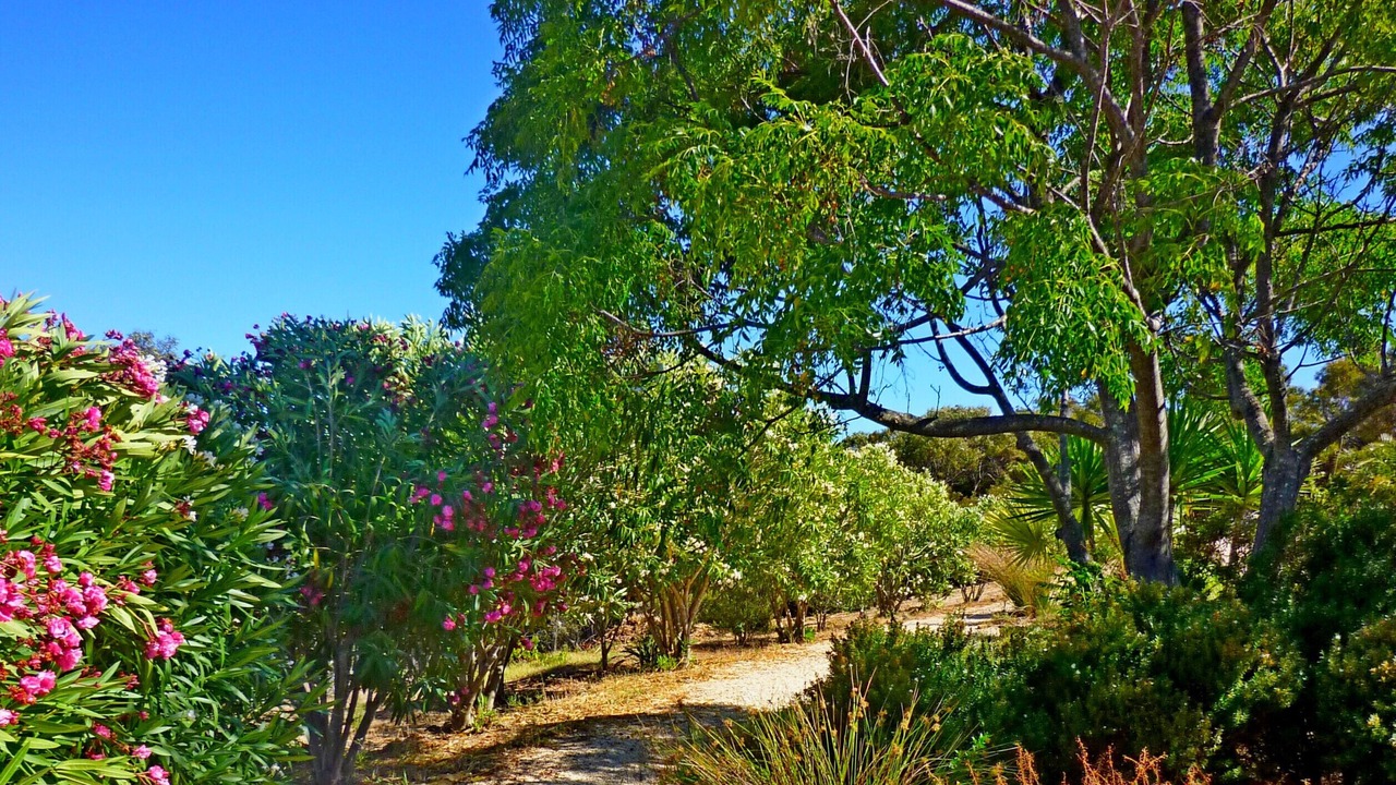 Photo of Outdoor in Barao de Sao Joao