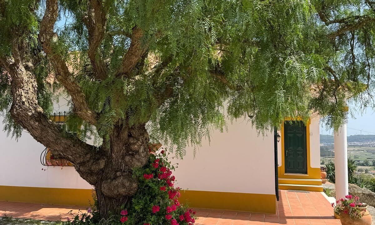 Photo of Outdoor in Amoreira