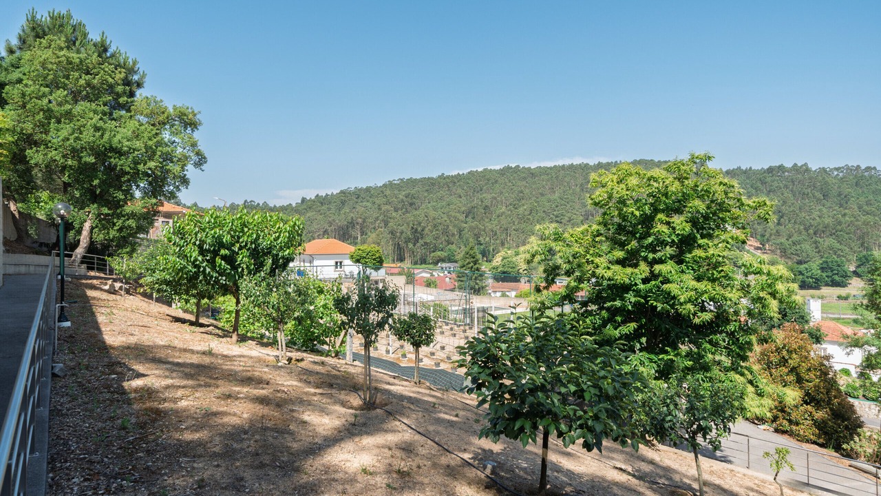 Photo of Outdoor in Oliveira De Azemeis