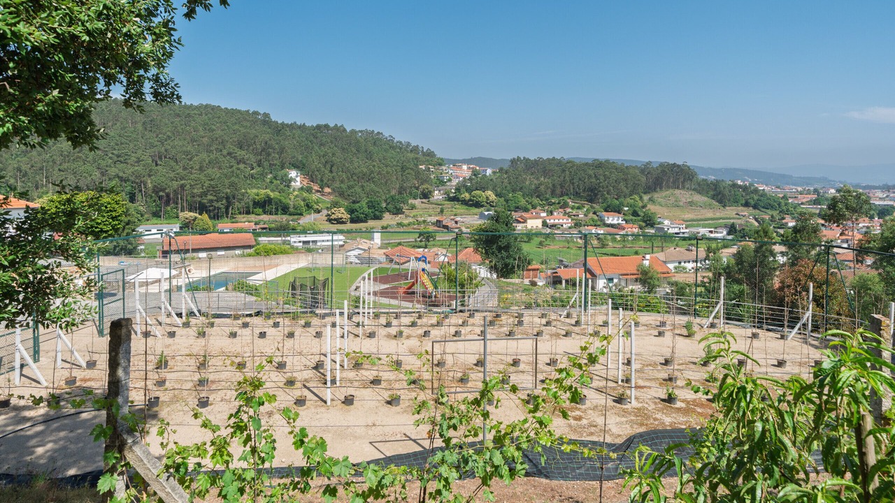 Photo of Others in Oliveira De Azemeis